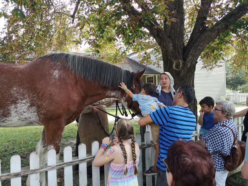 People with a horse