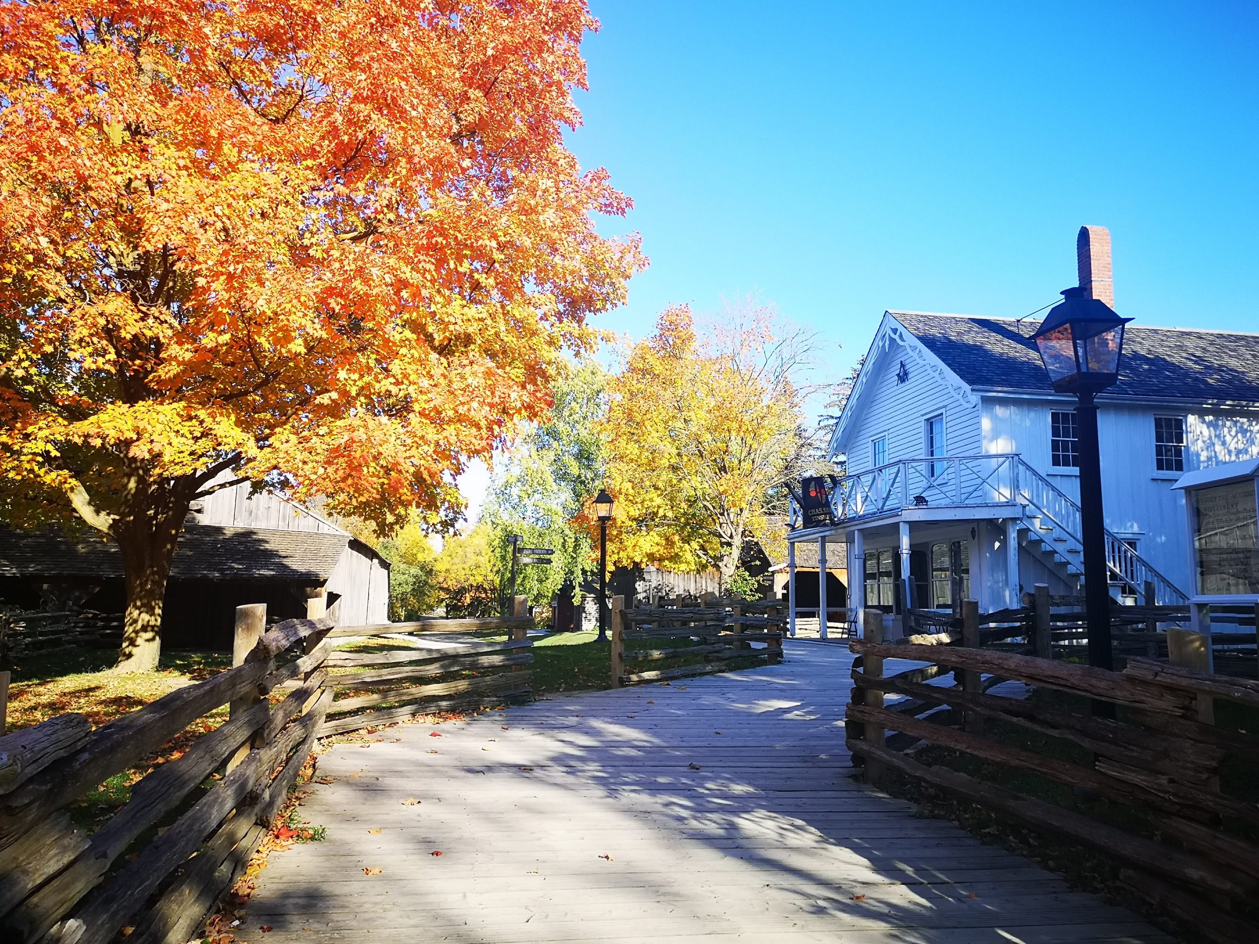 Walkway to the Tin Shop during autumn