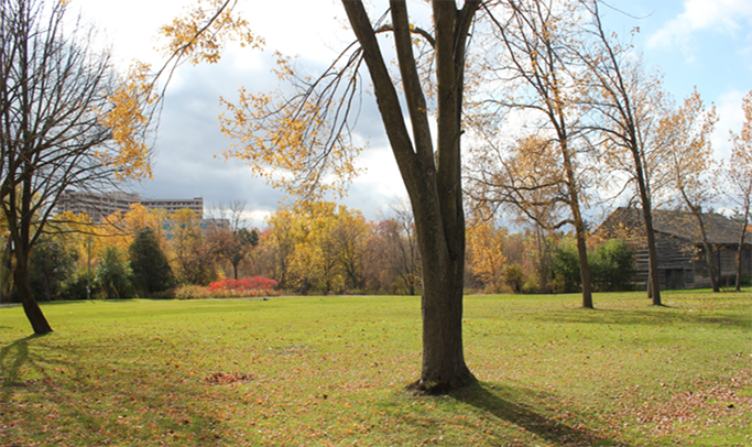 north property at the Village at Black Creek