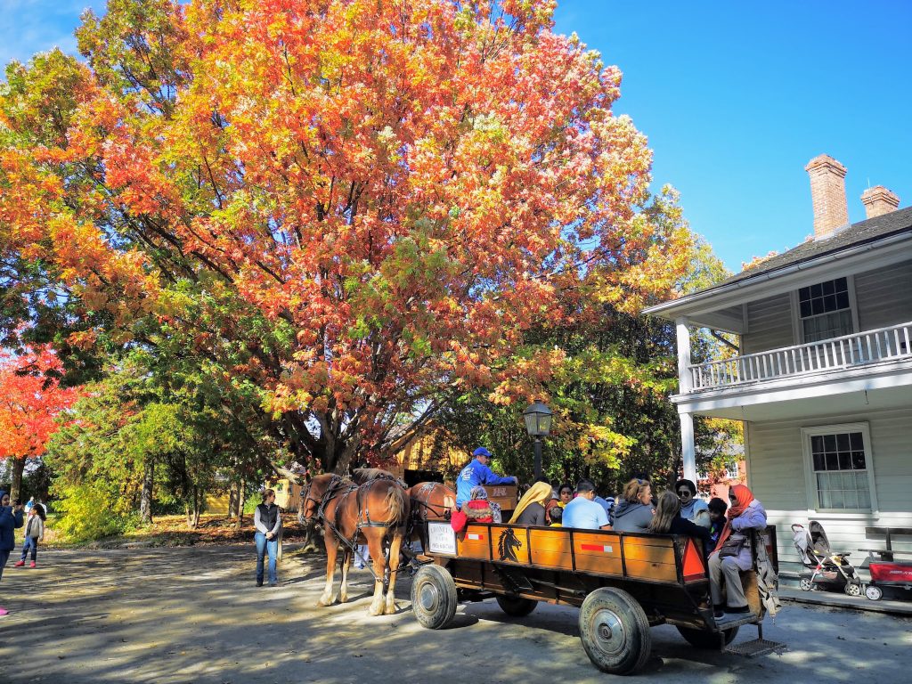 Wagon ride in autumn