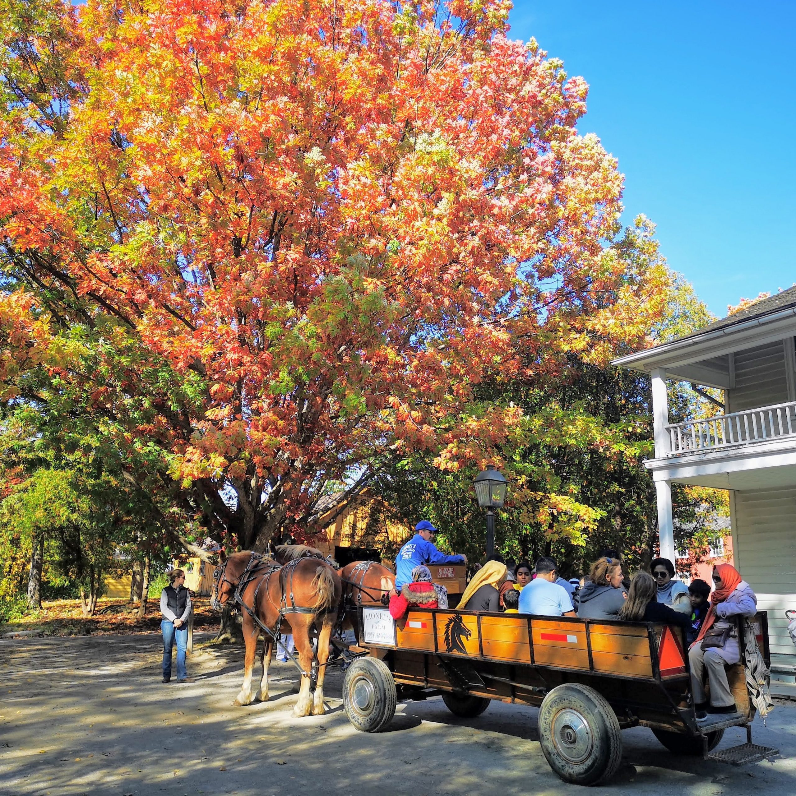 Wagon ride in autumn