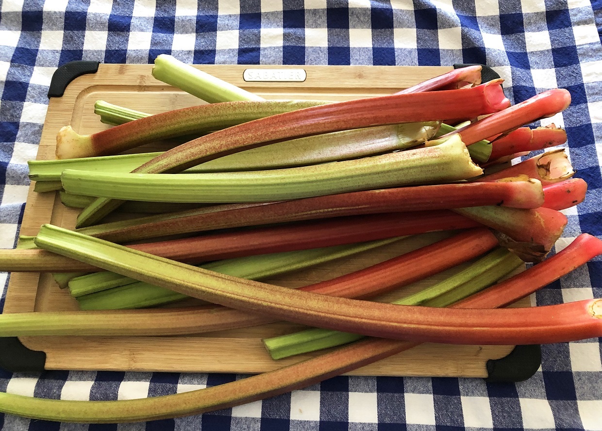 fresh rhubarb stalks