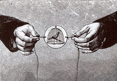 19th century illustration of a thaumatrope