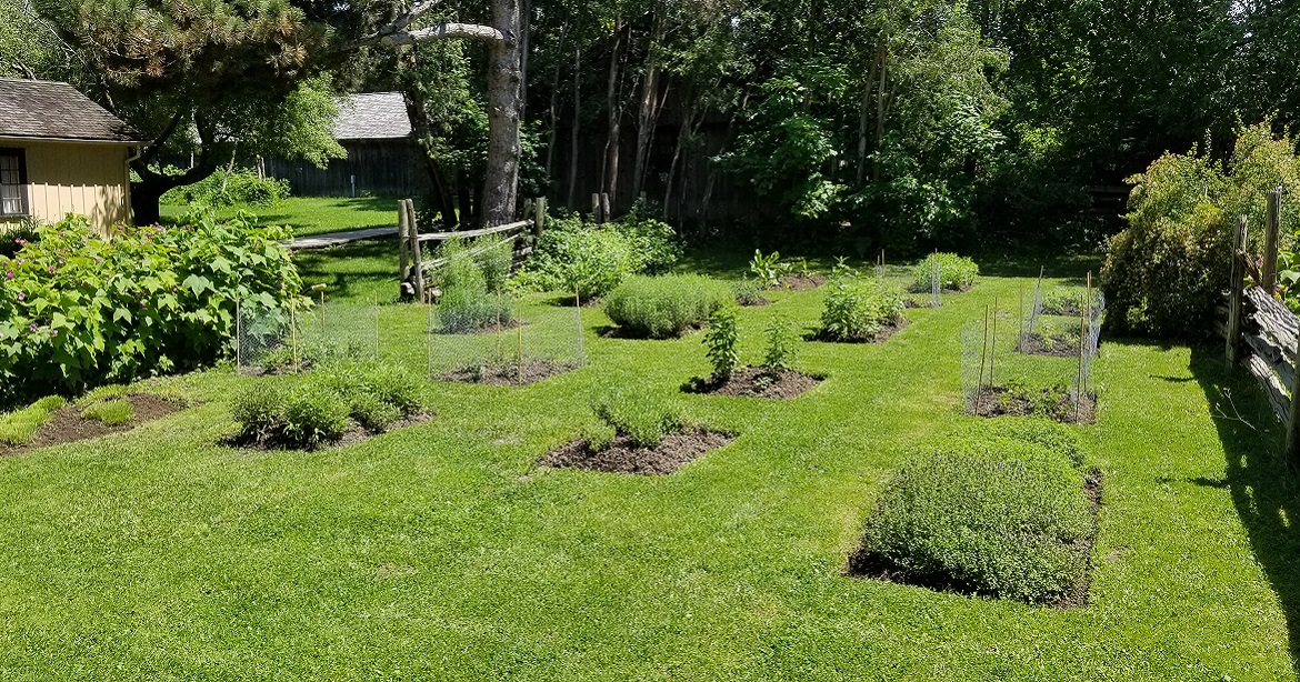 herb garden beds arranged in rectangular pattern