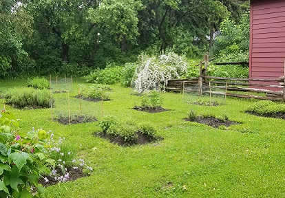 herb garden at Black Creek Pioneer Village