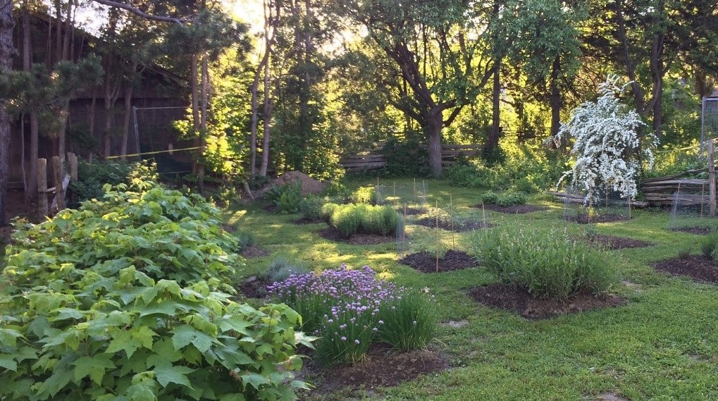 heritage garden at The Village at Black Creek