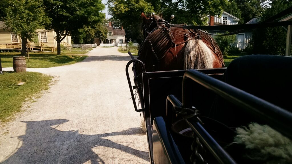Events 10 A horse pulling a wagon