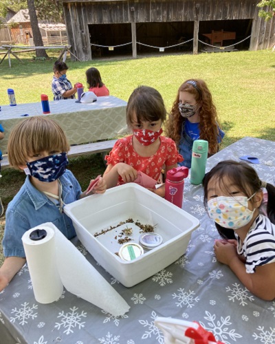 summer campers enjoy outdoor adventures at Black Creek Pioneer Village