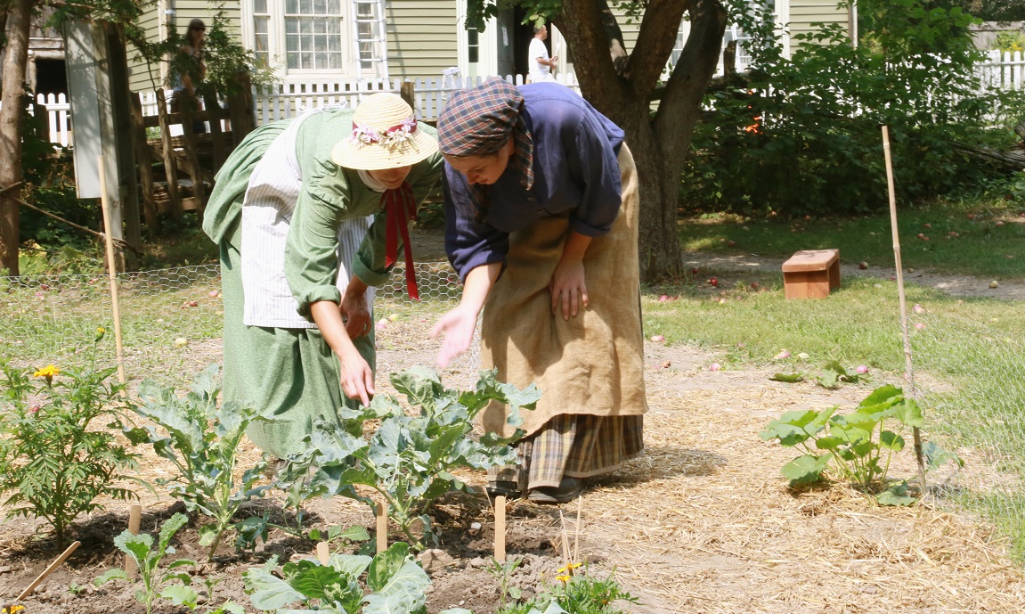 costumed educators tend to heritage garden at Black Creek Pioneer Village