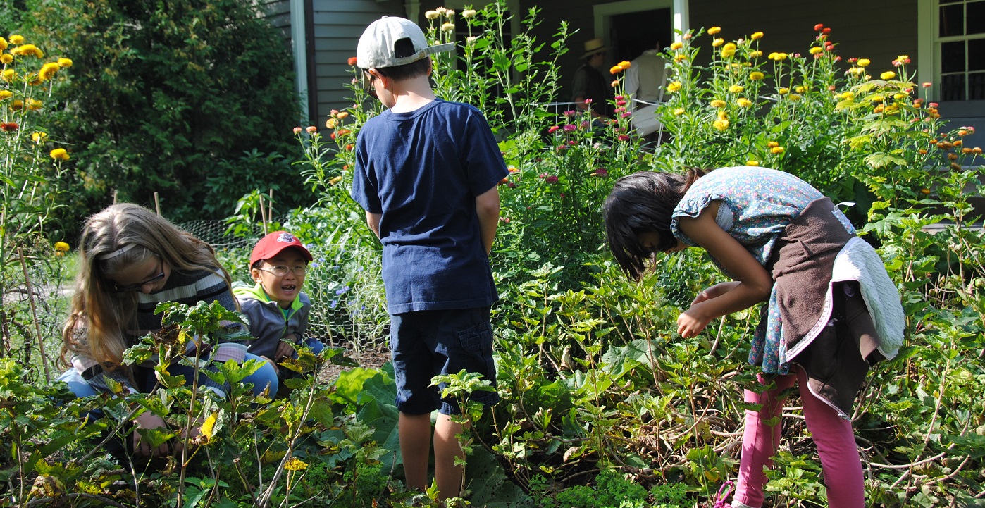 home school students help tend the gardens at Black Creek Pioneer Village