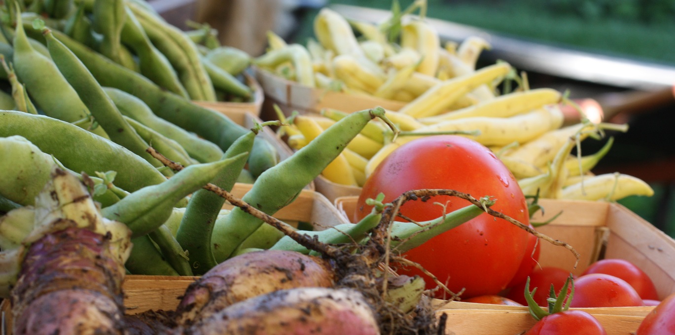 freshly harvested vegetables on display at Black Creek Village