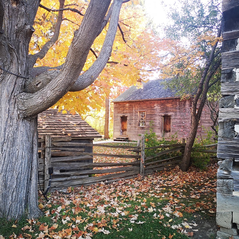 historic home at Black Creek Pioneer Village