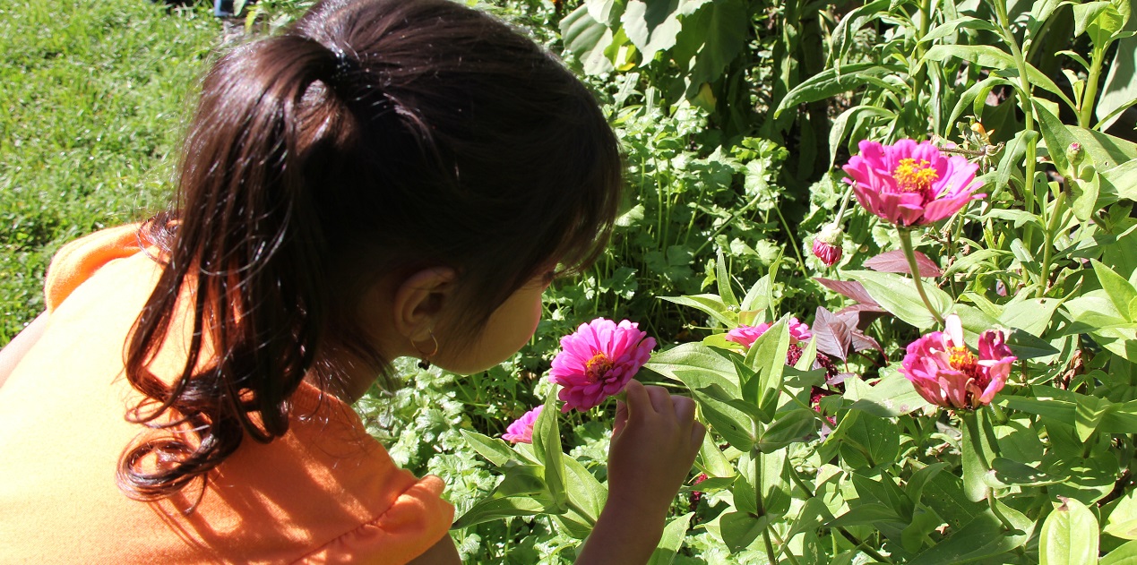 a young girl stops to smell the flowers in one of the heritage gardens at the Village at Black Creek