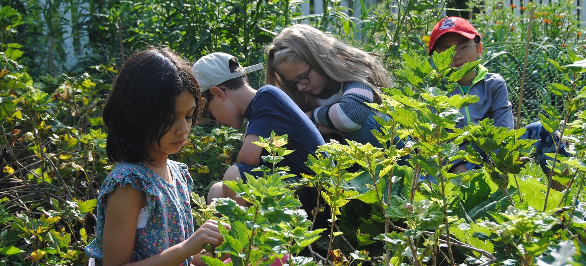 home school students explore a garden at Black Creek Pioneer Village