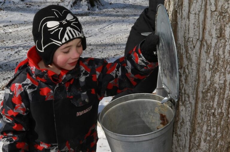 Maple Days at the Village 1