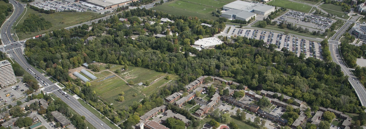 an aerial view of The Village at Black Creek and surrounding thoroughfares