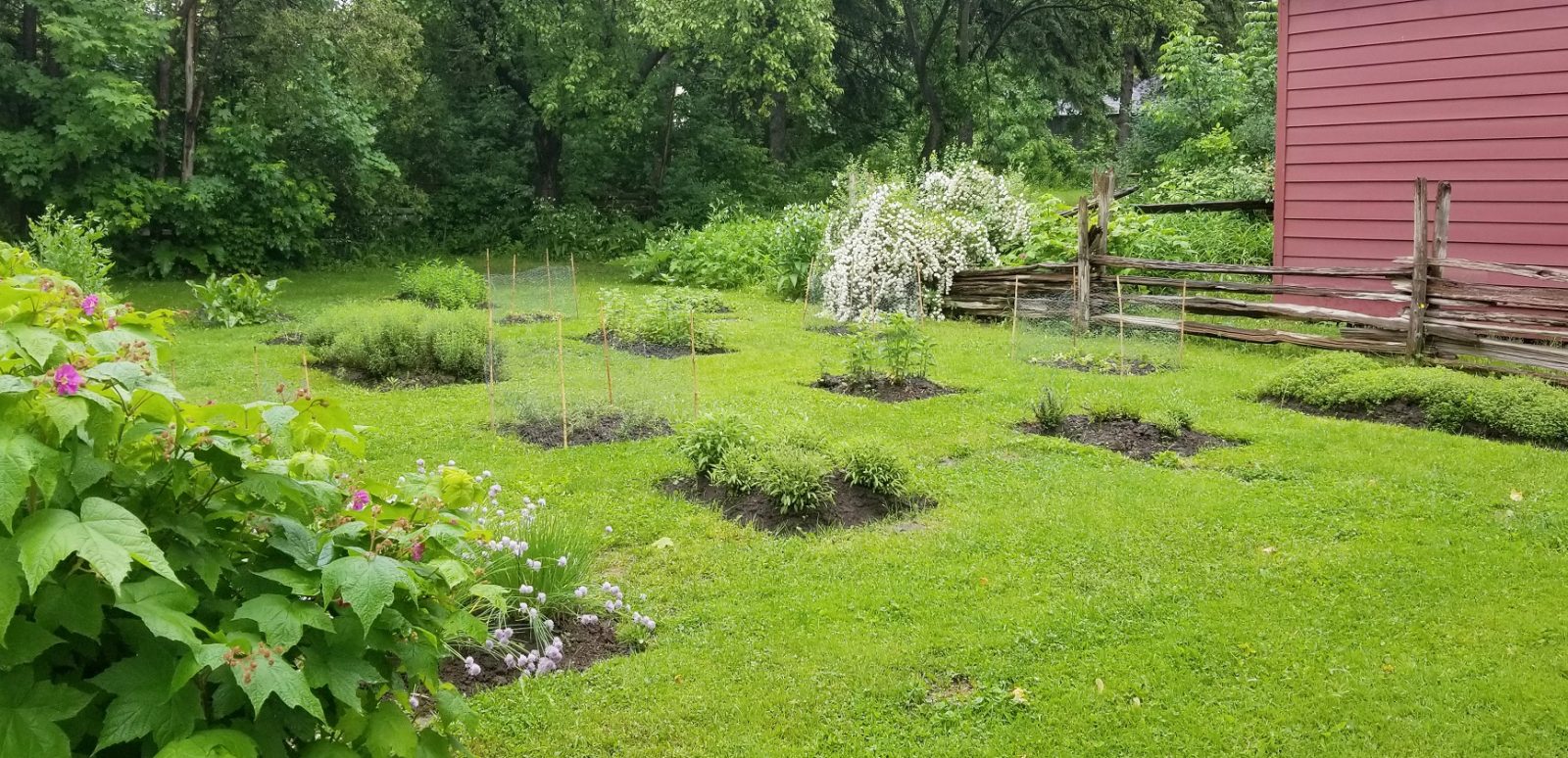 herb garden at The Village at Black Creek