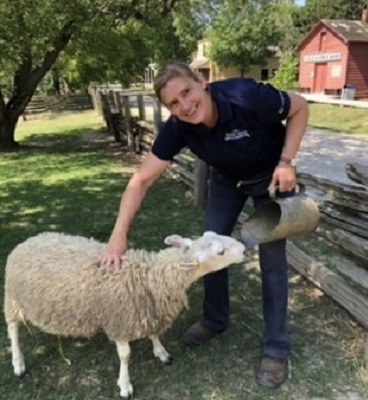 a TRCA animal care team member tends to the sheep at The Village at Black Creek