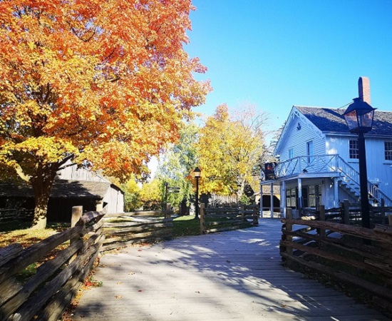 What's On At The Village 19 fall foliage at The Village at Black Creek
