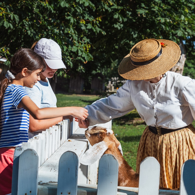 summer campers meet a heritage breed goat at The Village at Black Creek