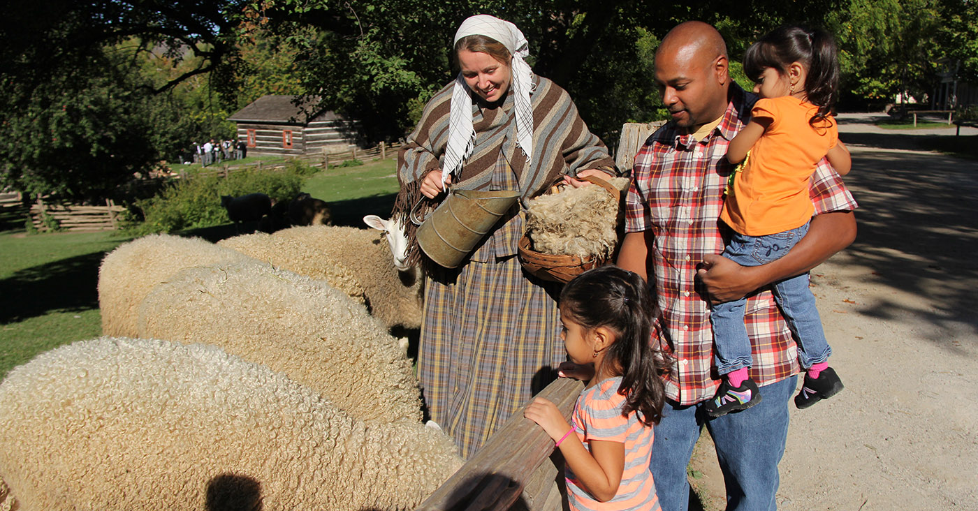 Black Creek Pioneer Village interpreter introduces a family to the local sheep