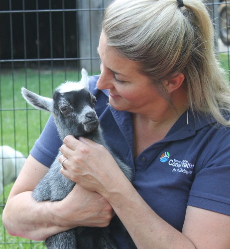 Staff holds baby goat